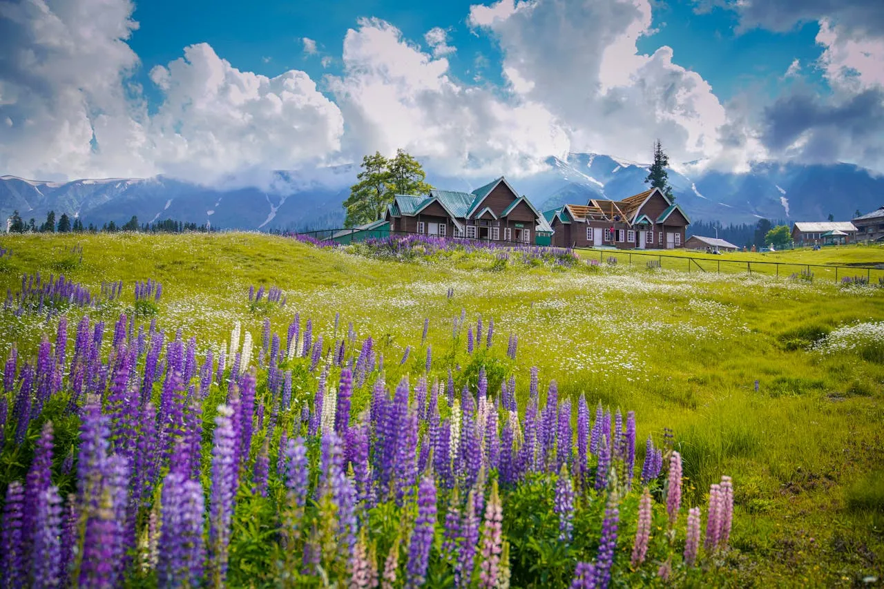 Kashmir Valley